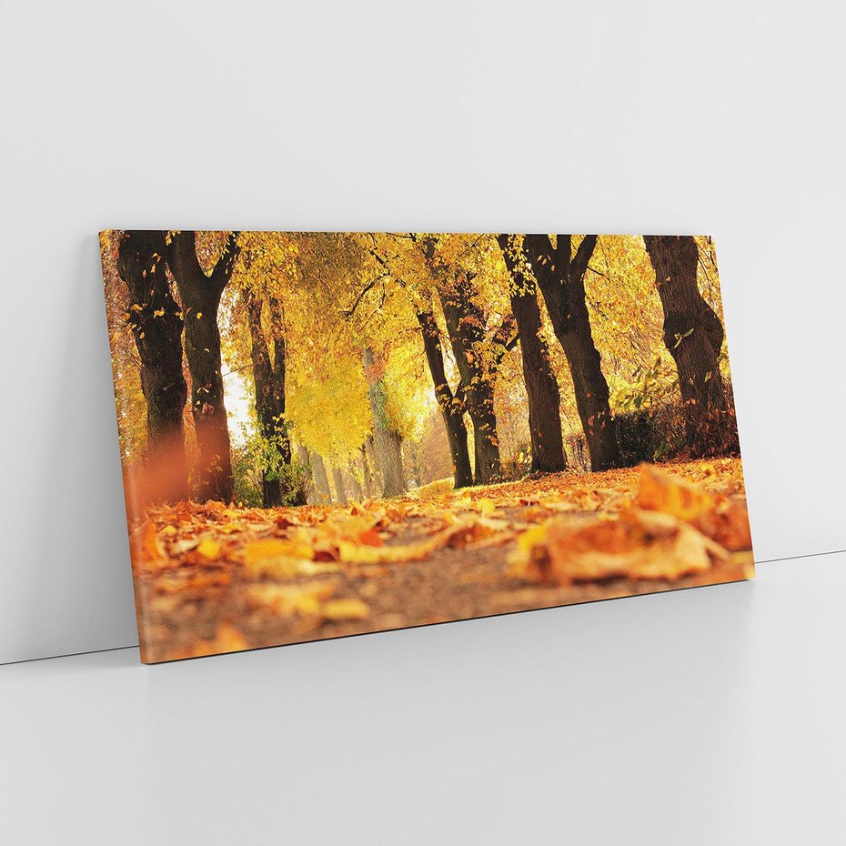 Obraz na płótnie 120x60 - Jesień, Liście, Park - Kolorowa Symfonia - jesień, liście