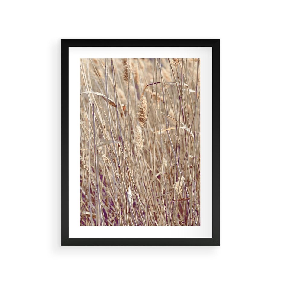 Plakat w ramie 30x40 - Suche Trawy w Wyjątkowym Stylu - suche trawy, boho styl - rama czarna