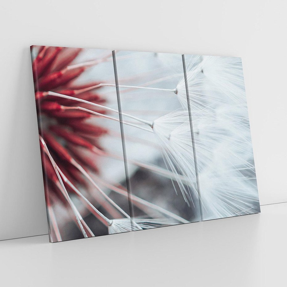 Obraz na płótnie 120x80 - Makro świat dmuchawca - dmuchawiec, makro