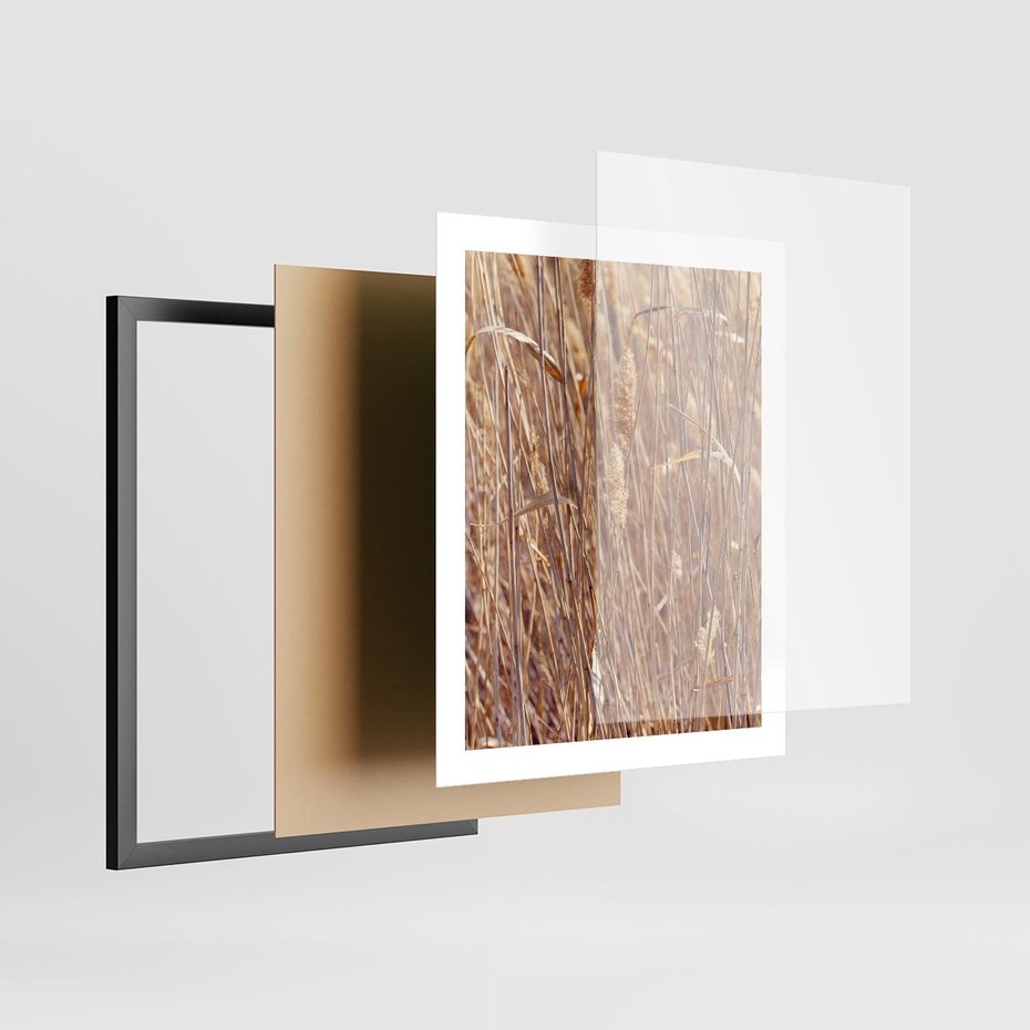 Plakat w ramie 40x50 - Mistrzowskie suche trawy - suche, trawy - rama czarna