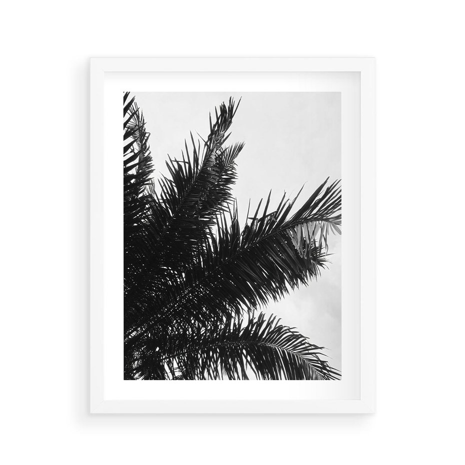 Plakat w ramie 40x50 - Czas Zapomnienia - palmy, czarno biała fotografia - rama biała