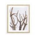 Plakat w ramie 40x50 - Pustynna Harmonia Gałęzi - pustynna roślina, suche gałęzie - rama drewno