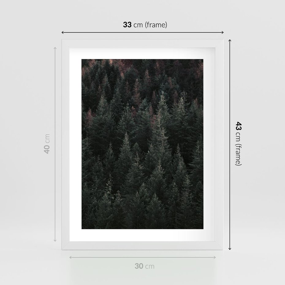 Plakat w ramie 30x40 - Wysoko nad Iglastym Lasem - las, perspektywa - rama biała