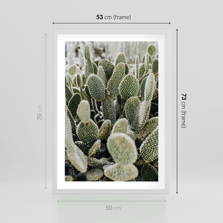 Plakat w ramie 50x70 - Kaktusowa Harmonia - kaktusy, fotografia - rama biała