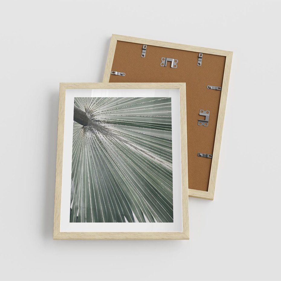 Plakat w ramie 40x50 - Jasnozielony Świat - palma, liść - rama drewno