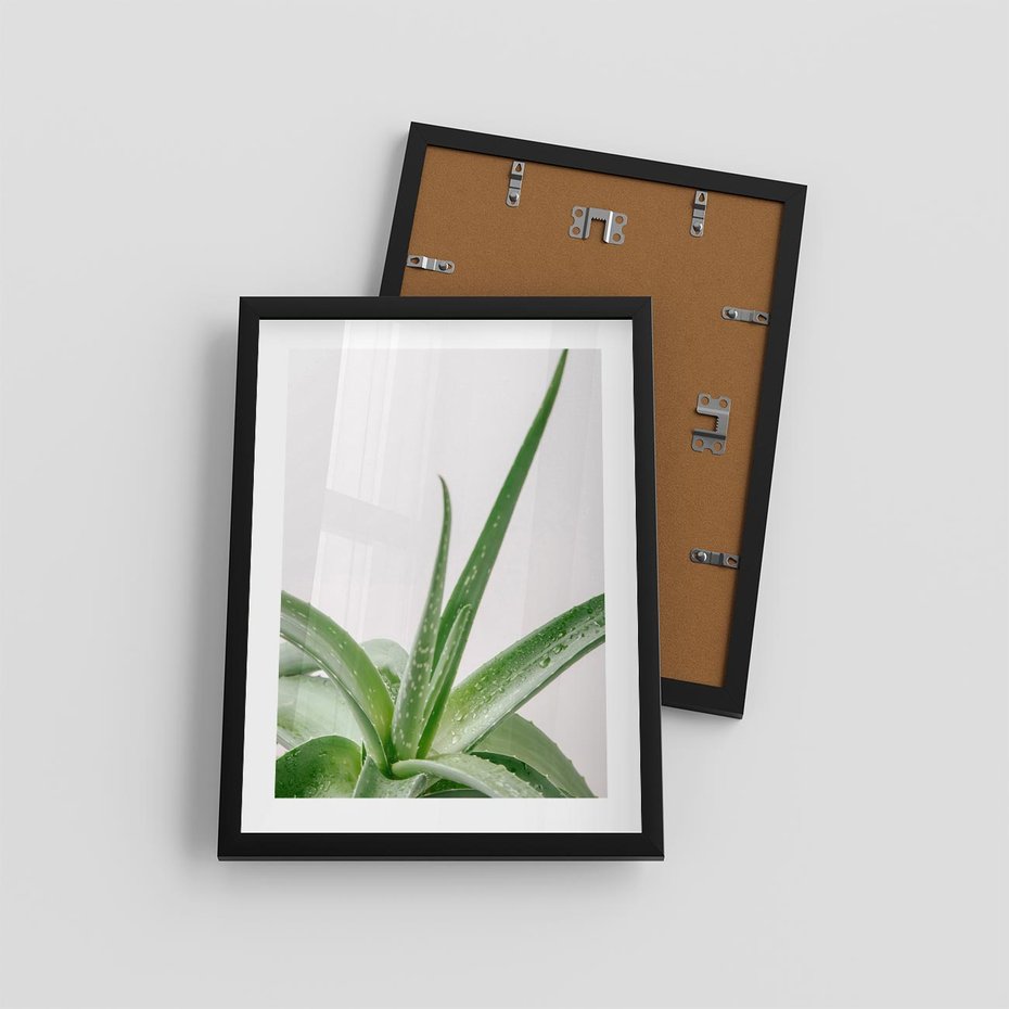 Plakat w ramie 30x40 - Zielone Piękno - aloes, liście - rama czarna