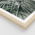 Plakat w ramie 30x40 - Palmy w Zgaszonej Zieleni - palmy, tropikalne liście - rama drewno