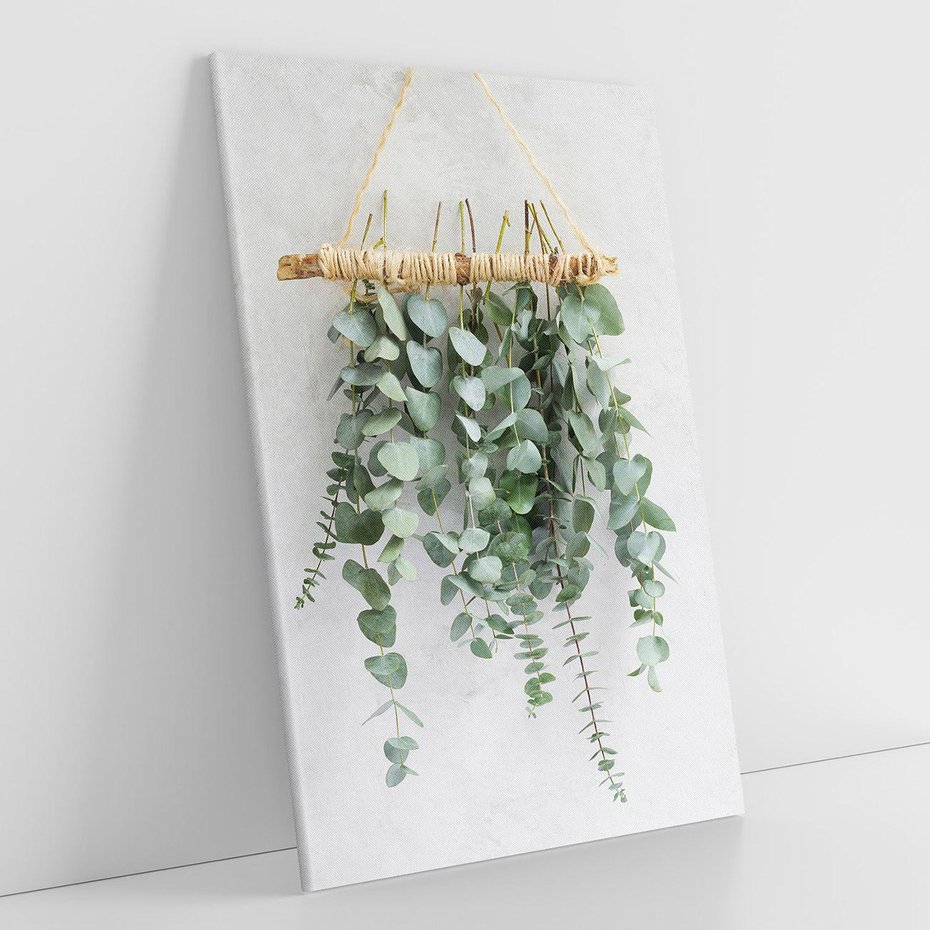 Obraz na płótnie 70x100 - Uwodzicielska zieleń eukaliptusa - eukaliptus, zielone