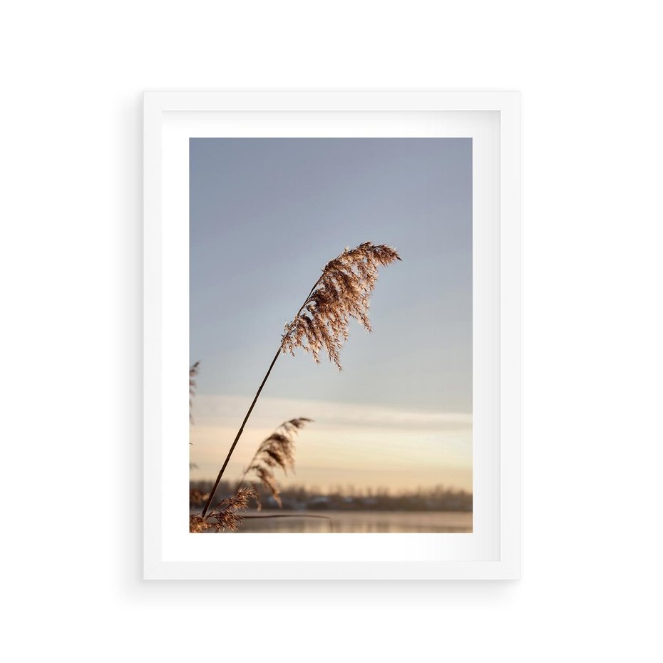 Plakat w ramie 30x40 - Naturalna Delikatność - trawy, boho - rama biała