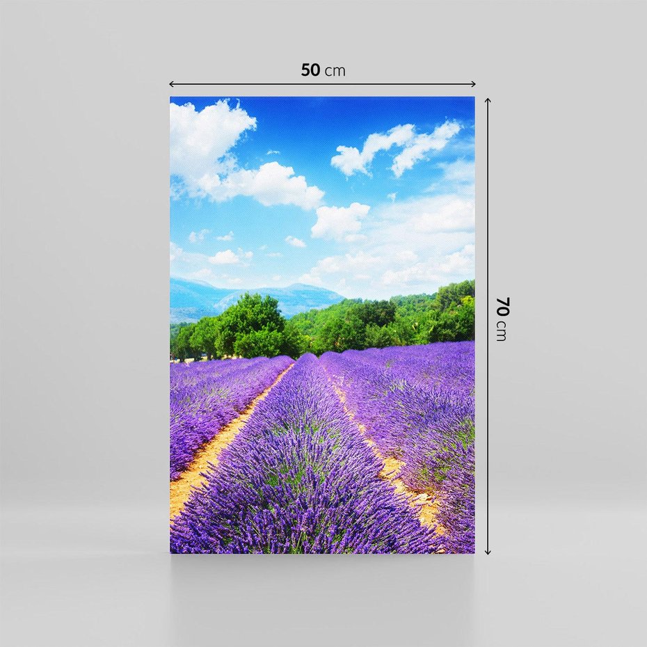 Obraz na płótnie 50x70 - Prowansalska Lawenda - lawenda, prowansja