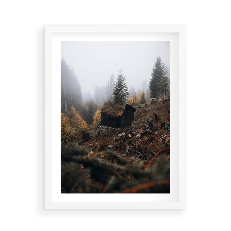 Plakat w ramie 50x70 - Górski las - stary zniszczony domek w górach, góry - rama biała