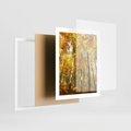 Plakat w ramie 40x50 - Jesienny Las - Kolorowa Paleta Natury - jesień, drzewa - rama biała