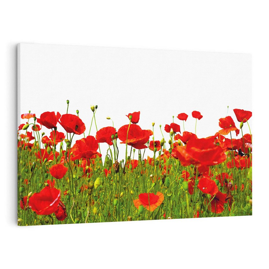 Obraz na płótnie 120x80 - Bujne maki na malowniczej łące - mak, maki