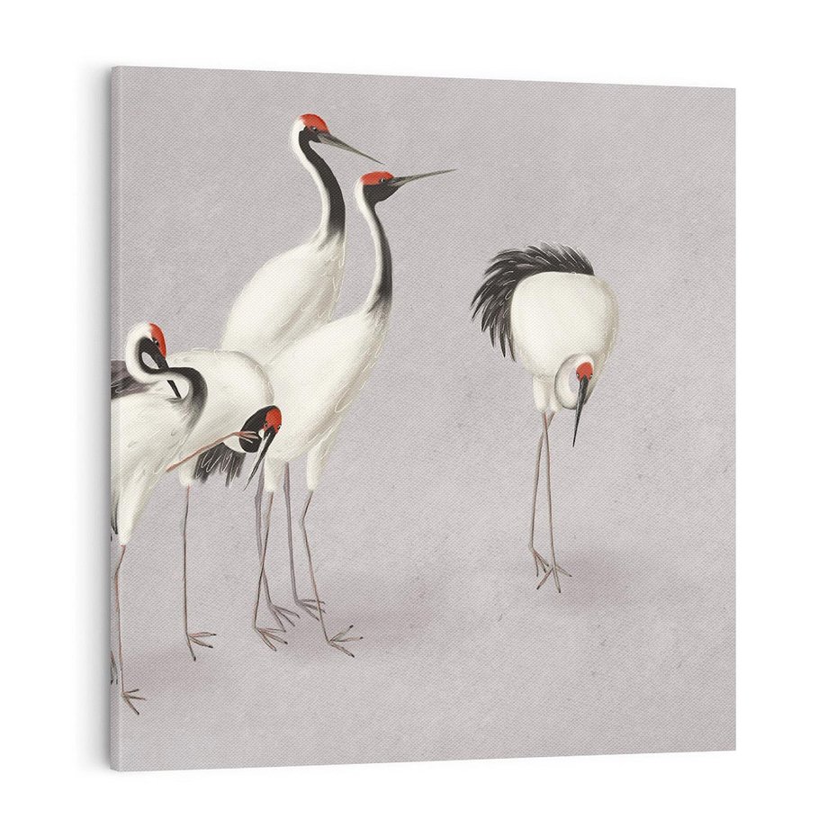 Obraz na płótnie 70x70 - Spojrzenie wstecz w pędzlu - szkic rysunek, japońskie żurawie
