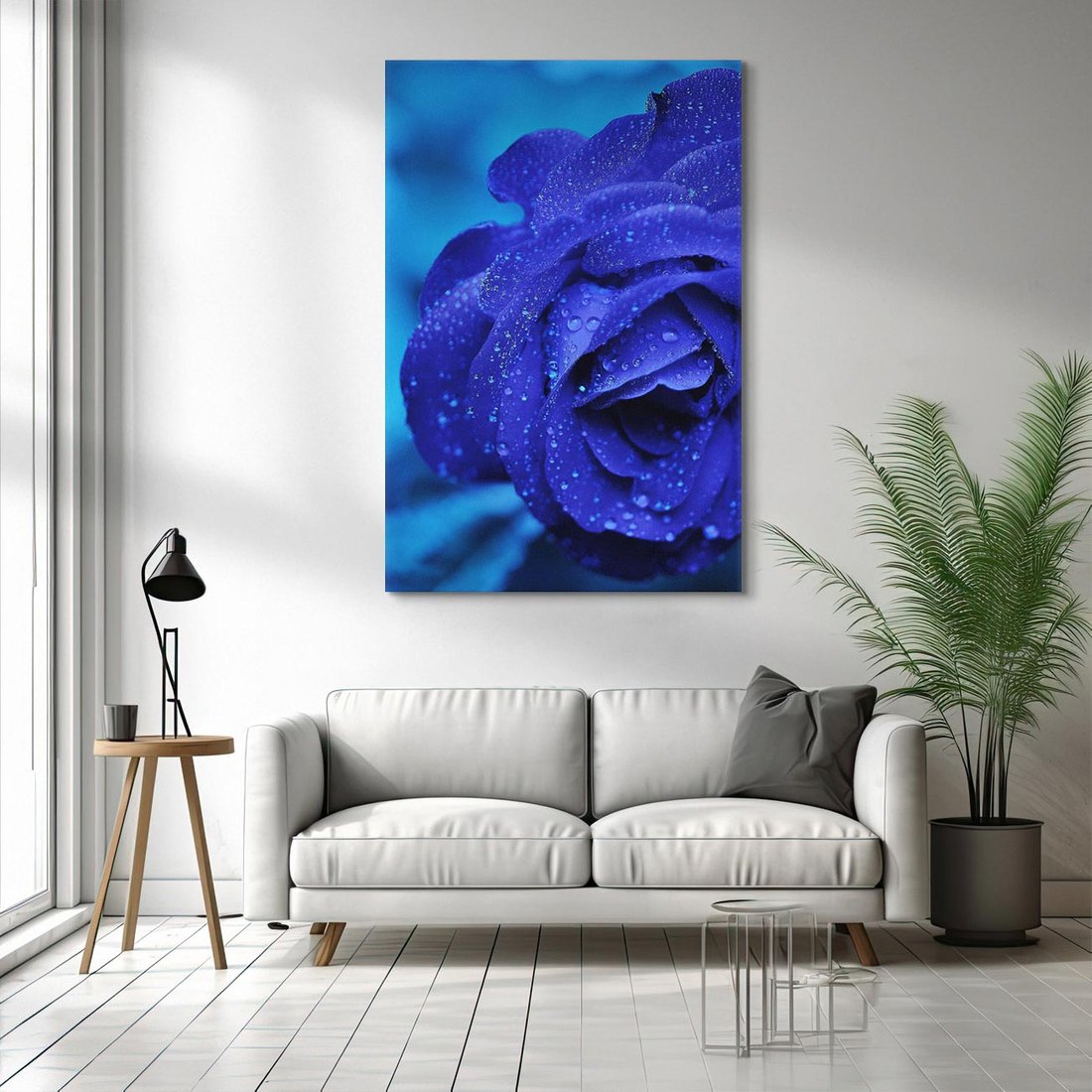 Obraz na płótnie 50x70 - Róża w pełnym rozkwicie - róża, kwiat