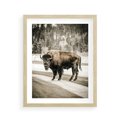 Plakat w ramie 40x50 - Spotkanie z Żubrem na Leśnej Drodze - żubr, las - rama drewno