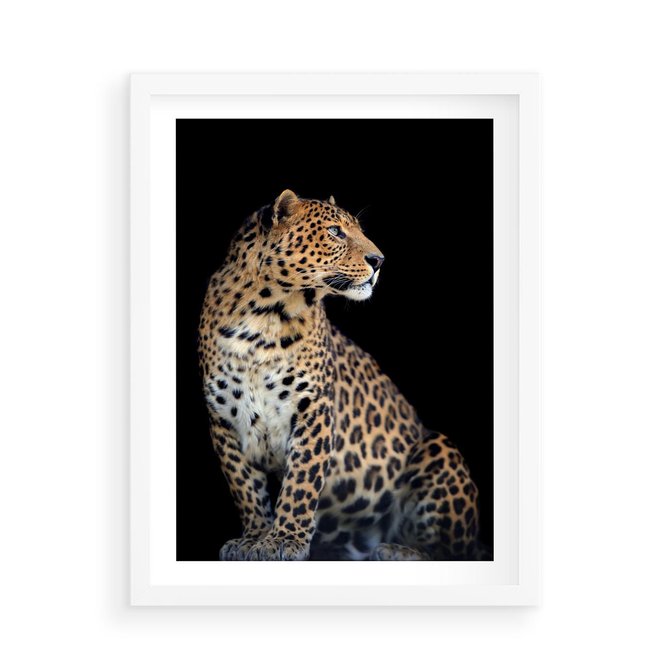 Plakat w ramie 50x70 - Elegancja Jaguarowej Pantery - jaguar, pantera - rama biała