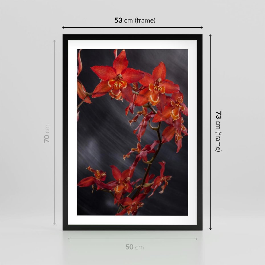 Plakat w ramie 50x70 - Kolorowy Raj - kwiaty, tropikalne - rama czarna