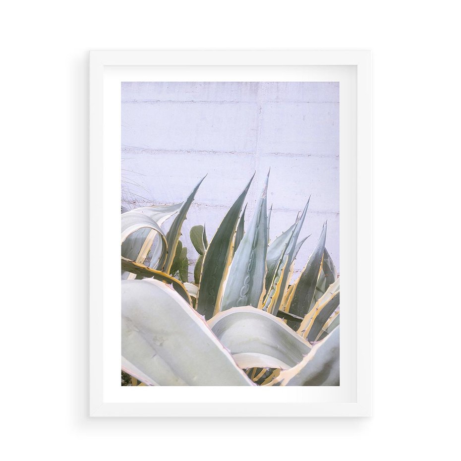 Plakat w ramie 50x70 - Sukulentowe liście - liście, sukulenty - rama biała