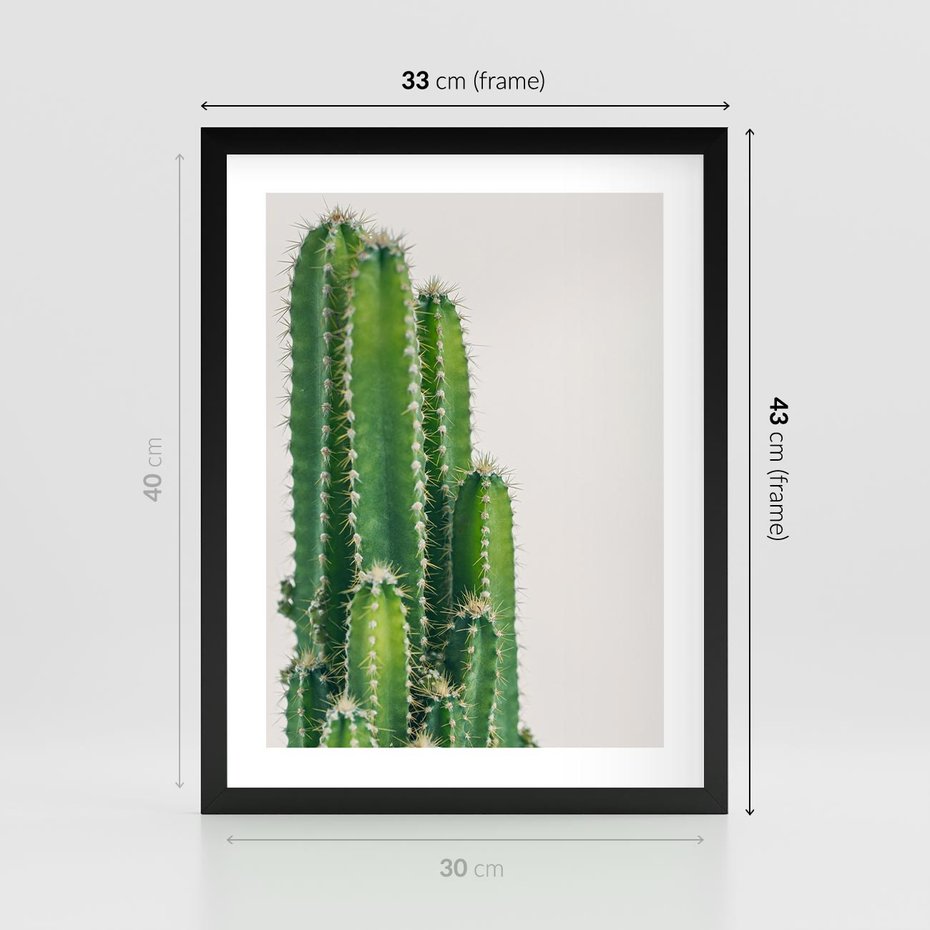 Plakat w ramie 30x40 - Minimalistyczne Kaktusy na Białym Tle - kaktusy, minimalistyczna fotografia - rama czarna