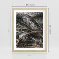 Plakat w ramie 40x50 - Liściaste Palmy - palmy, drzewa palmowe - rama drewno