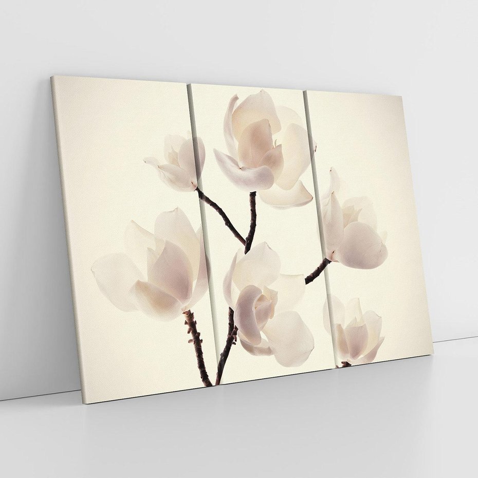 Obraz na płótnie 120x80 - Elegancja Natury - magnolia, białe