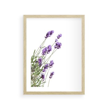 Plakat w ramie 40x50 - Delikatny Urok - lawenda, kwiaty - rama drewno