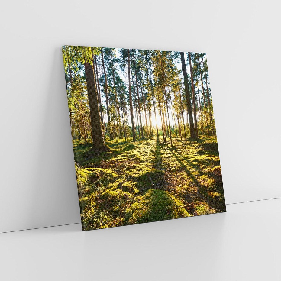 Obraz na płótnie 30x30 - Obfitość natury - las, drzewa