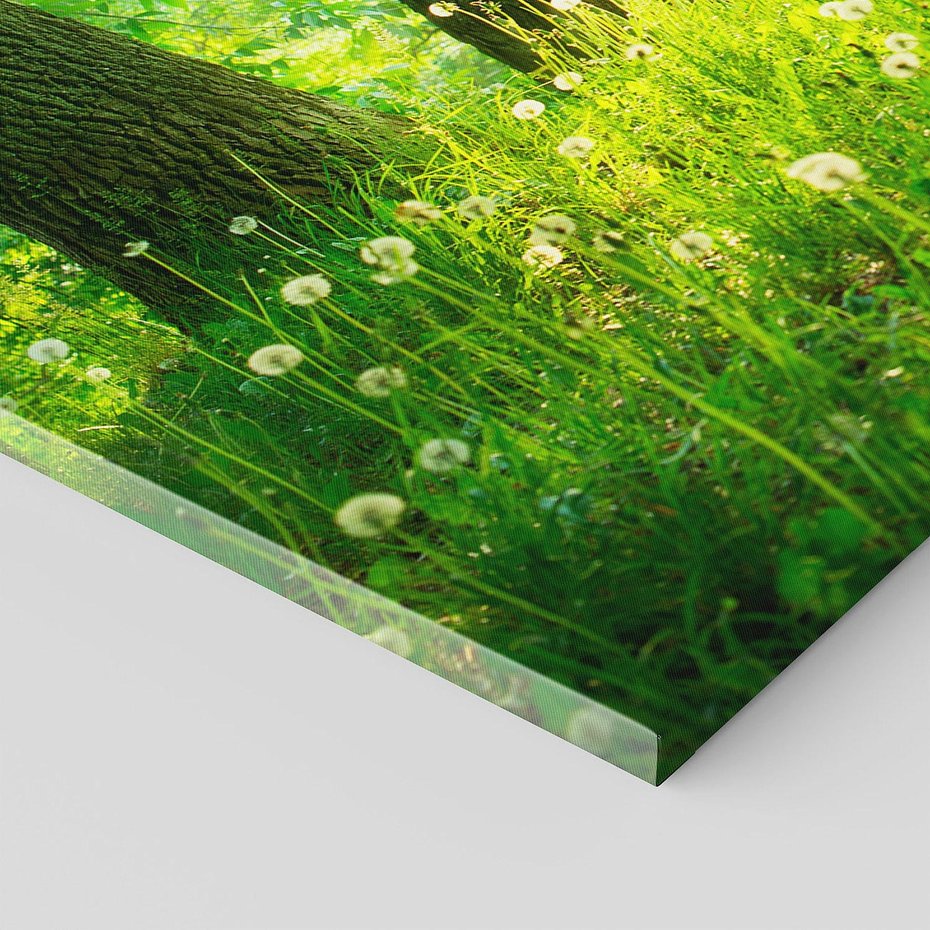 Obraz na płótnie 120x60 - Urok natury - magiczny las na płótnie - las, trawa