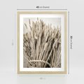 Plakat w ramie 40x50 - Letni Plon - zboże, kłosy zboża - rama drewno