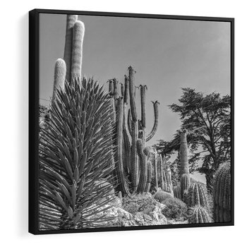 Obraz w ramie 50x50 - Pustynny Klimat - czarno białe zdjecie, pustynia - rama czarna