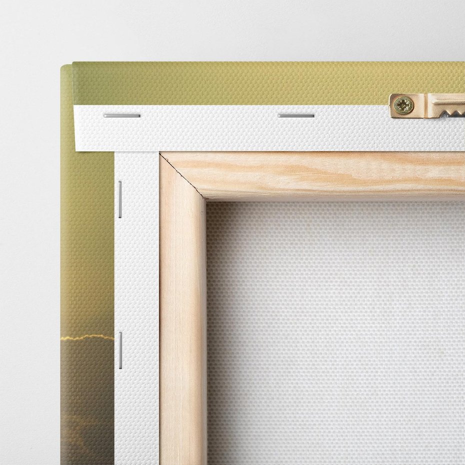 Obraz na płótnie 100x70 - Koń w Zachodnim Świetle - koń, ptaki