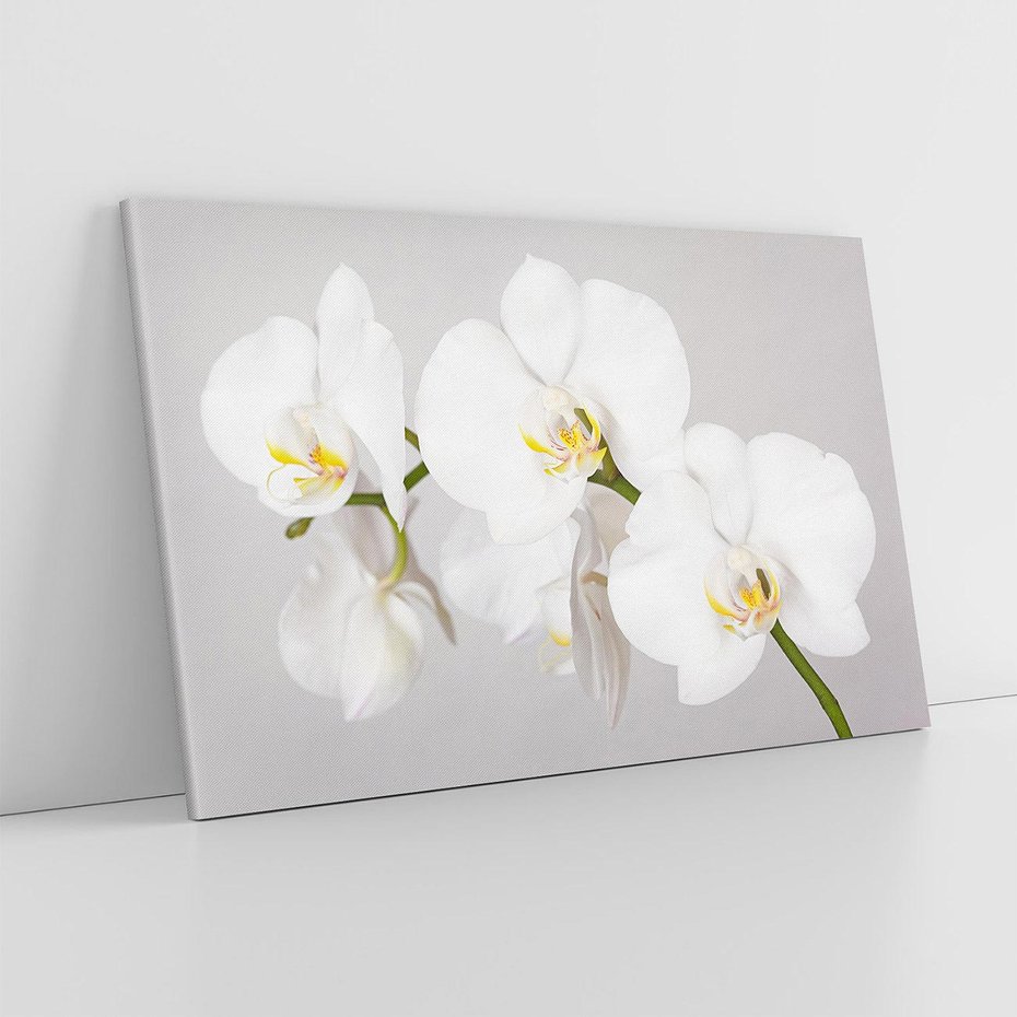 Obraz na płótnie 70x50 - kwiatowy urok - orchidea, kwiat