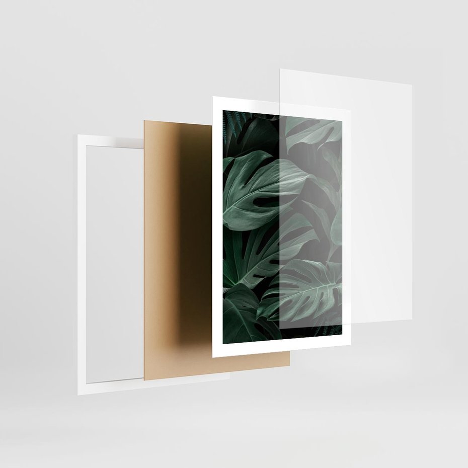 Plakat w ramie 50x70 - Zielone Liście Monstery w Dżungli - zielone liście monstery, dżungla - rama biała