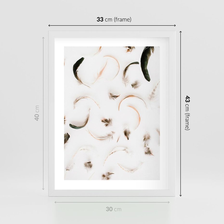 Plakat w ramie 30x40 - Kompozycja z Piór - pióra, kompozycja - rama biała