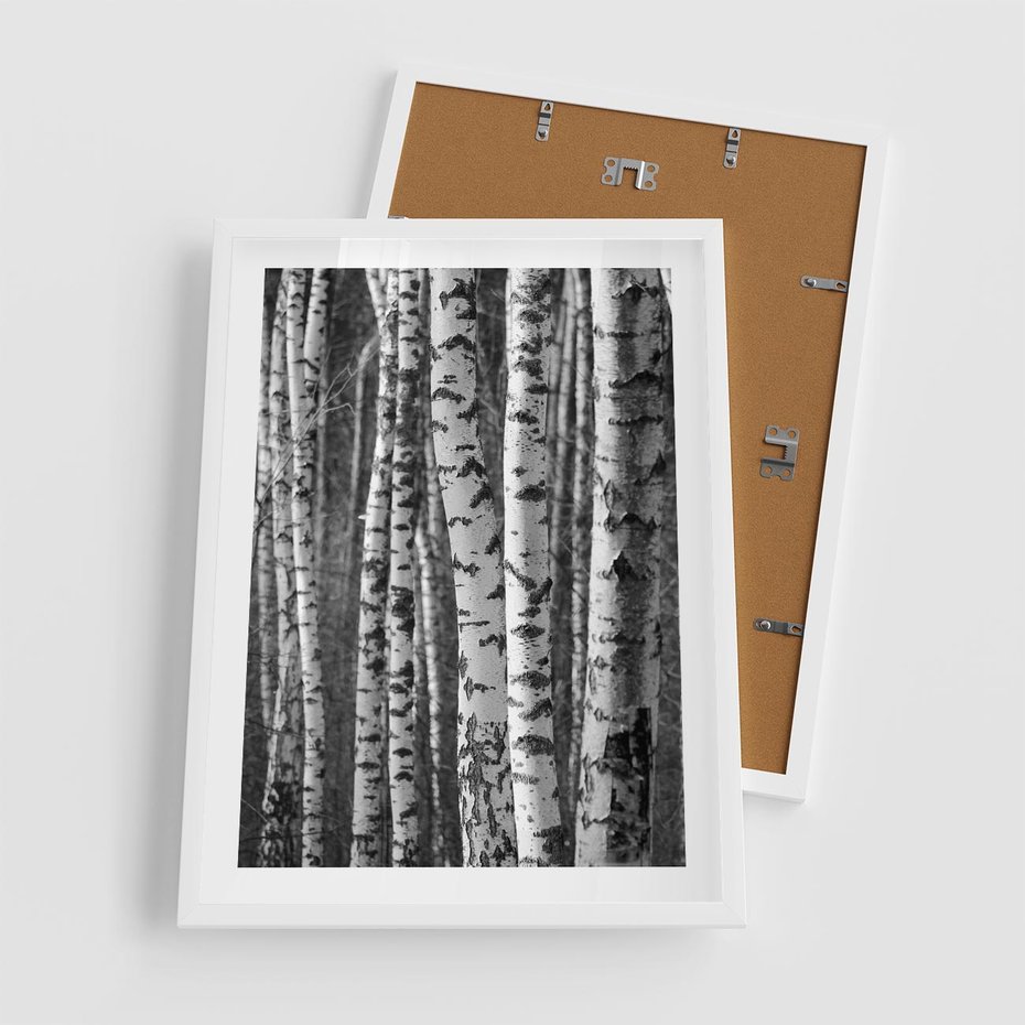 Plakat w ramie 50x70 - Kontrast Monochromatyczny - brzozy, czarno - rama biała