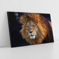 Obraz na płótnie 100x70 - Lew - Król Zwierząt - lew, zwierzęta