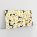 Obraz na płótnie 140x70 - Delikatność Kwiatowej Przyrody - stokrotki, kwiaty