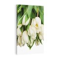 Obraz na płótnie 50x70 - Białe tulipany w pełnym rozkwicie - białe, tulipany
