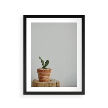 Plakat w ramie 40x50 - Kaktus w Doniczce - minimalizm, kaktur w doniczce - rama czarna