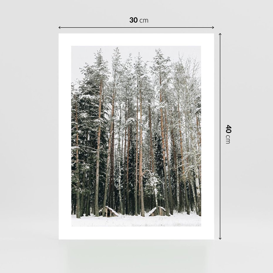 Plakat bez ramy 30x40 - Sypiący Śnieg - las w zimie, drzewa pod śniegiem