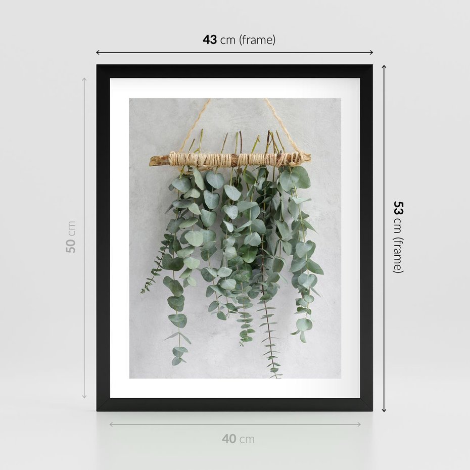 Plakat w ramie 40x50 - Uwodzicielska zieleń eukaliptusa - eukaliptus, zielone - rama czarna