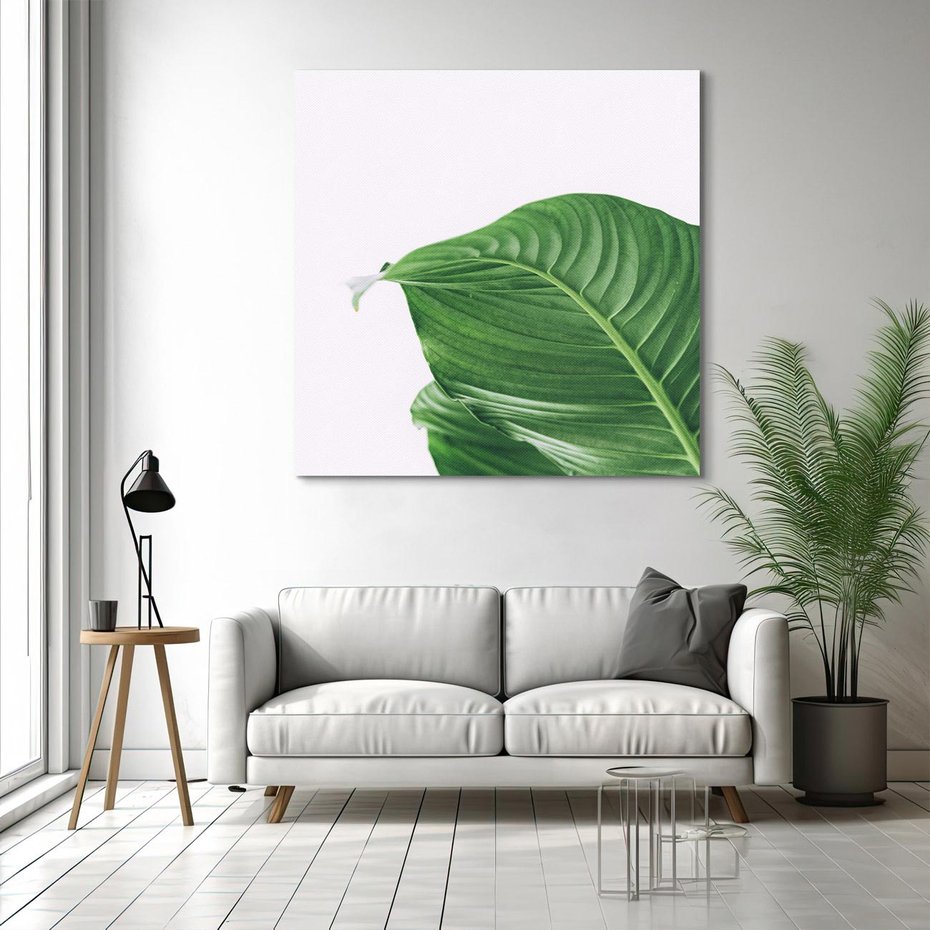 Obraz na płótnie 50x50 - Zielone liście monstery - liście, monstera