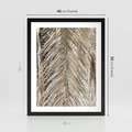 Plakat w ramie 40x50 - Boho Urok Palmy: Zbliżenie Natury - sucha palma, zbliżenie - rama czarna