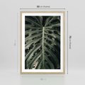 Plakat w ramie 50x70 - Majestatyczny Liść Monstery - liść monstery, majestatyczny liść - rama drewno