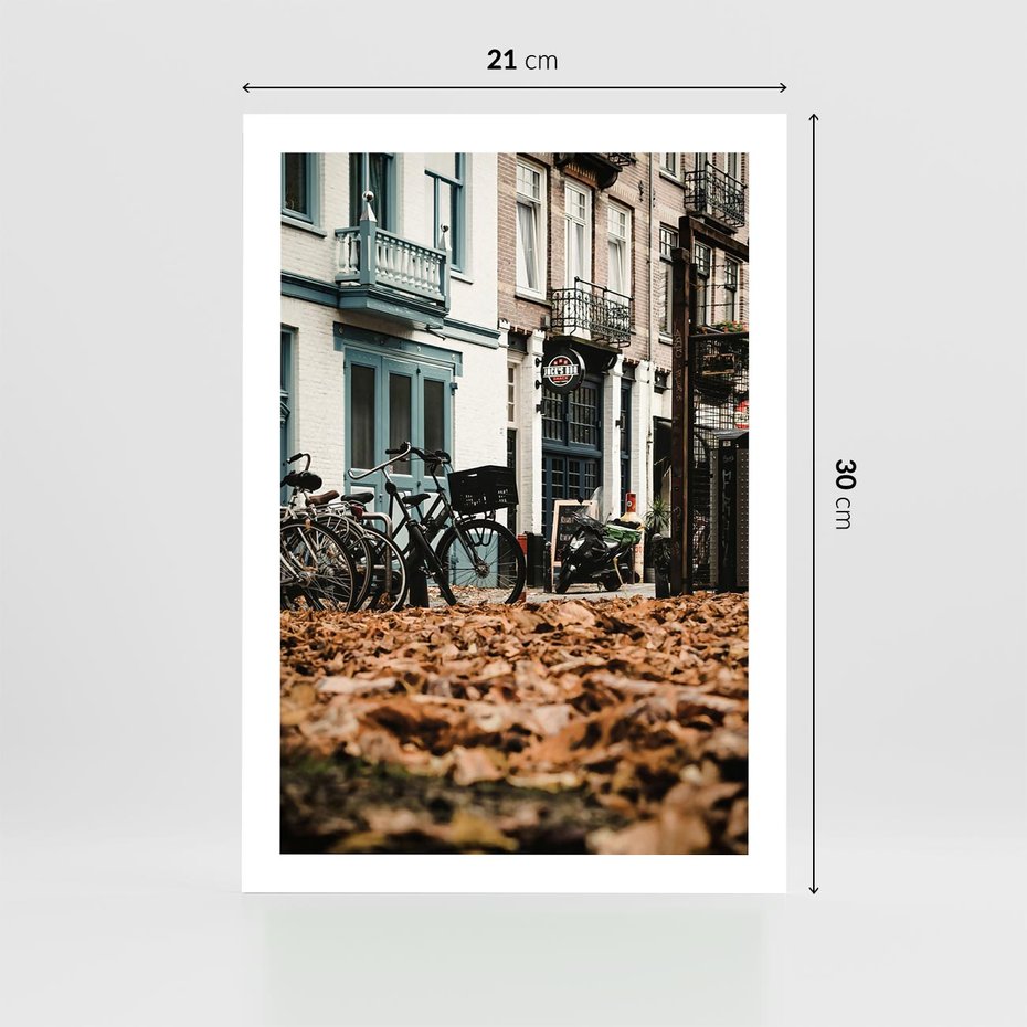 Plakat bez ramy 21x30 - Rowery w Mieście pełnym Liści - rower, miasto