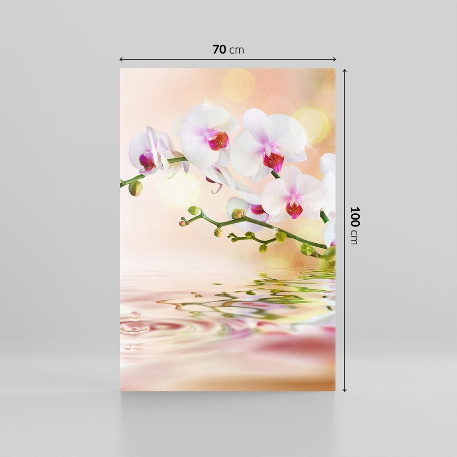 Obraz na płótnie 70x100 - Elegancja orchidei - orchidea, kwiaty