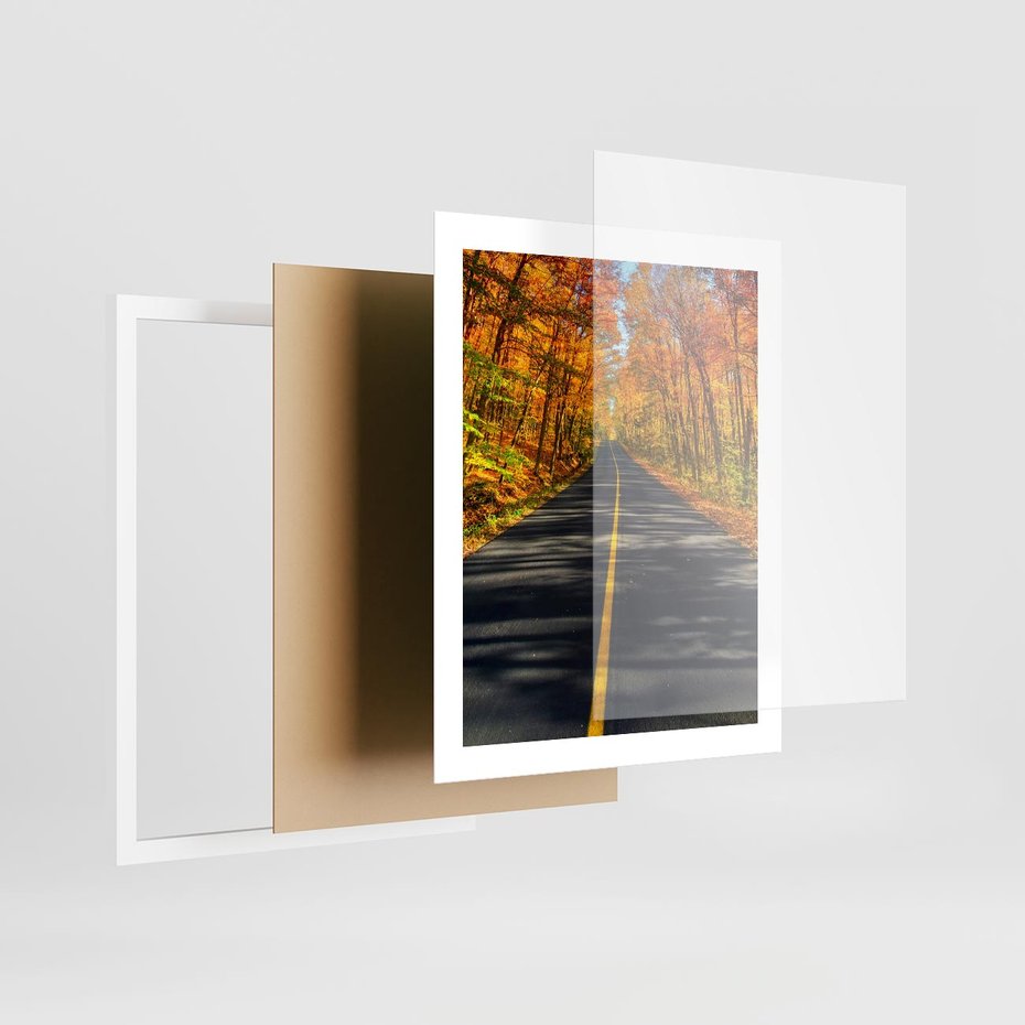 Plakat w ramie 40x50 - Droga przez jesienny las - droga, las - rama biała