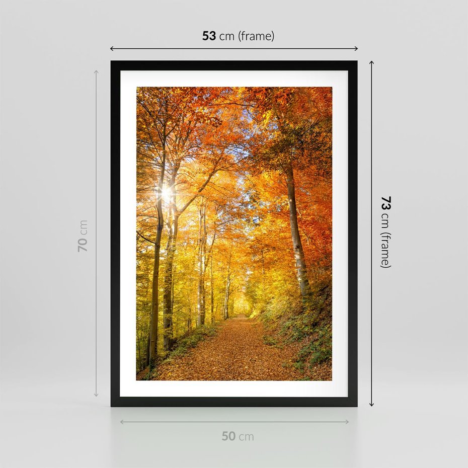 Plakat w ramie 50x70 - Złote barwy jesiennego lasu - las, jesień - rama czarna