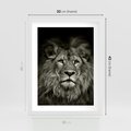 Plakat w ramie 30x40 - Moc lewego spojrzenia - lew, czarno - rama biała